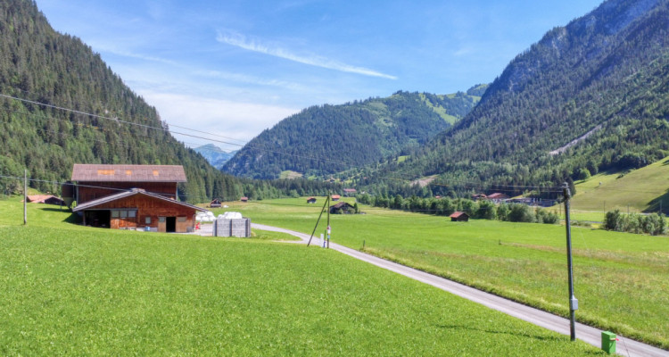 Baulandparzelle mit 5-Zimmer Einfamilienhaus-Vorprojekt im Grünen image 3