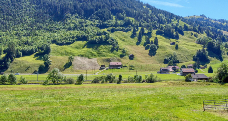 Baulandparzelle mit 5-Zimmer Einfamilienhaus-Vorprojekt im Grünen image 4