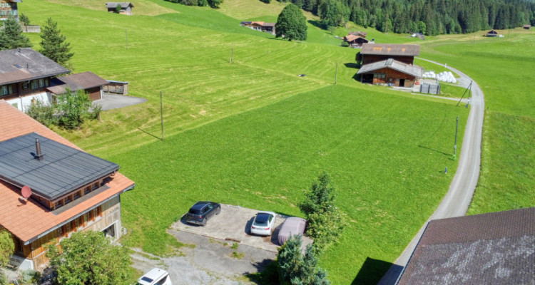 Baulandparzelle mit 5-Zimmer Einfamilienhaus-Vorprojekt im Grünen image 7