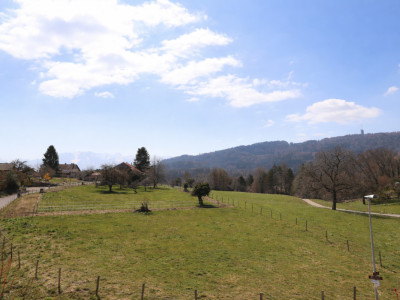 Appartement de 3.5 pièces en Minergie-A image 3