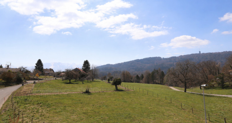 Appartement de 3.5 pièces en Minergie-A image 3