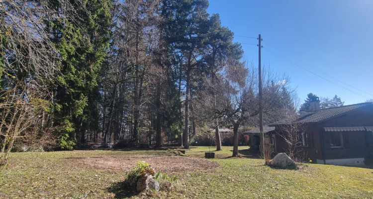 À vendre – Parcelle constructible 1’600 m² – Hauts de Bassins image 1