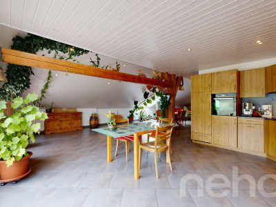 Maison individuelle denviron 380 m², grand terrain et vue montagnes image 7