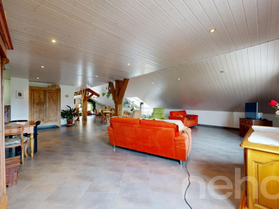 Maison individuelle denviron 380 m², grand terrain et vue montagnes image 9