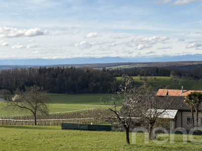 Erschlossenes Grundstück mit wunderbarer, unverbaubarer Aussicht image 8