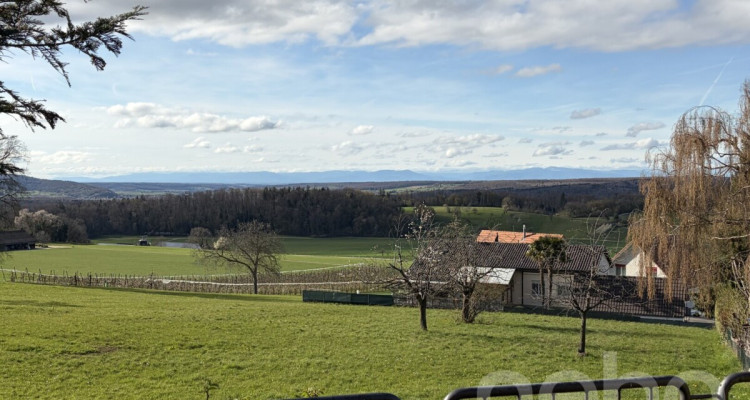 Erschlossenes Grundstück mit wunderbarer, unverbaubarer Aussicht image 7