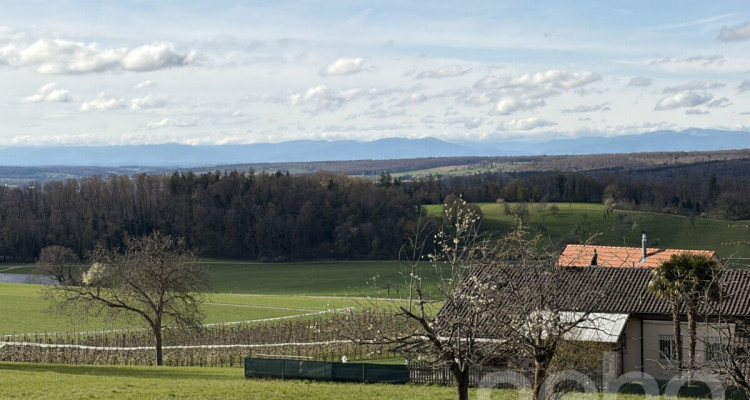 Erschlossenes Grundstück mit wunderbarer, unverbaubarer Aussicht image 8
