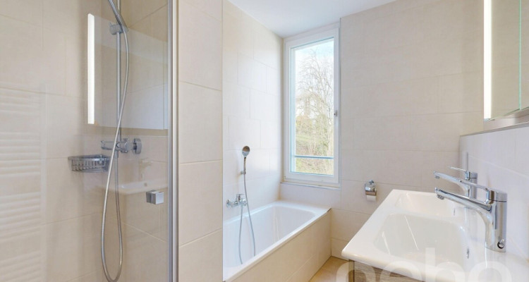 Neuwertige 4.5-Zimmer Dachwohnung mit riesigem Estrich image 9