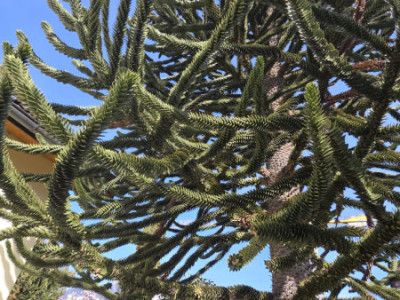 Elégance, sérénité et art de vivre image 16