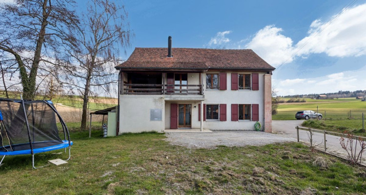 Duplex de 5.5 pièces rénové avec jardin en pleine nature image 10