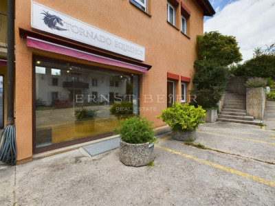 Arcade commerciale avec vitrines image 11