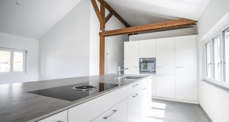 Exklusive Loftwohnung in Pratteln image 1