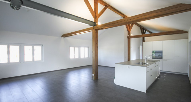 Exklusive Loftwohnung in Pratteln image 4