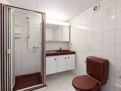 Orbe - Propriété unique avec deux habitations et fort potentiel image 8