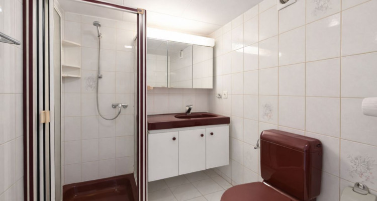 Orbe - Propriété unique avec deux habitations et fort potentiel image 8