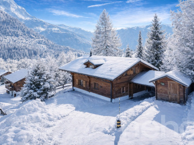 Chalet familial aux Diablerets | Authentique ? Lumineux ? Paisible image 2