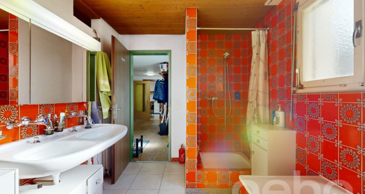 Haus mit grossem Garten image 9