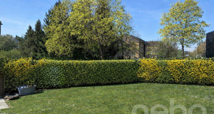 Einfamilienhaus mit Garten in Niederwenigen, nähe Zürich image 10