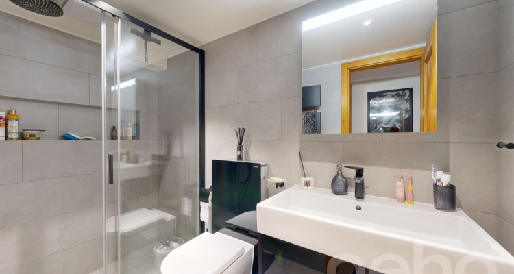 Maison villageoise avec terrasse et séjour cathédrale - Corsier image 9