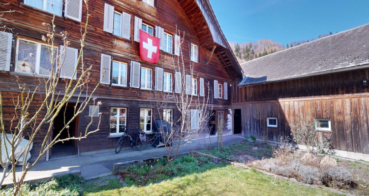 Bauernhaus mit Wohnungen und Gewerbefläche in Bigenthal image 2