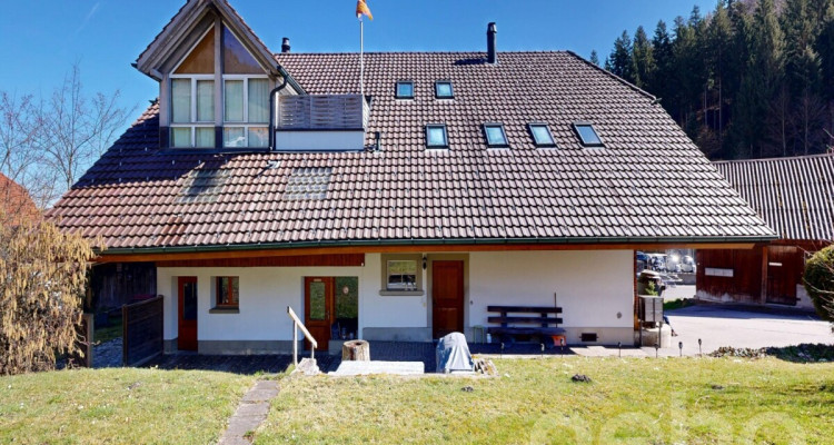 Bauernhaus mit Wohnungen und Gewerbefläche in Bigenthal image 12