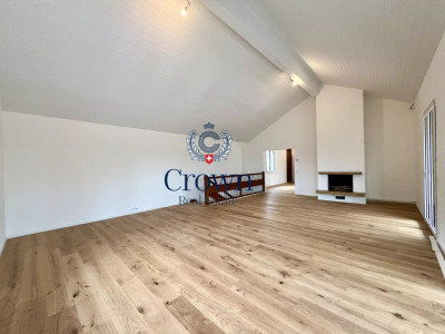 Character and volume image 3