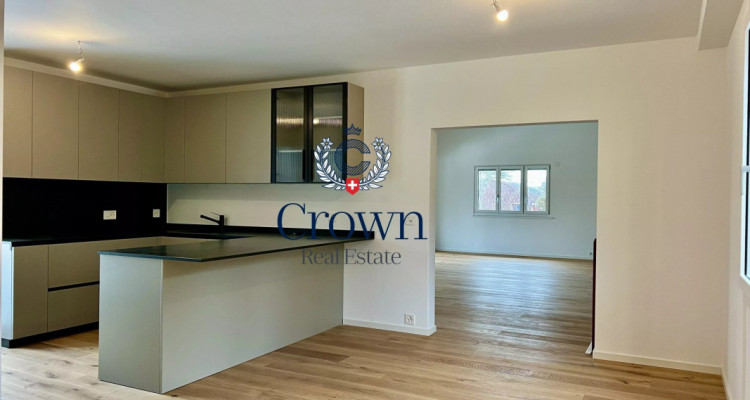 Character and volume image 1