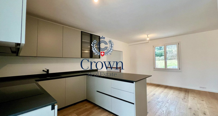 Character and volume image 2