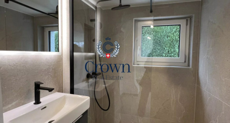 Character and volume image 8