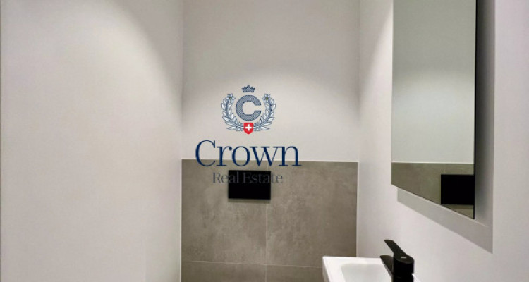 Character and volume image 9