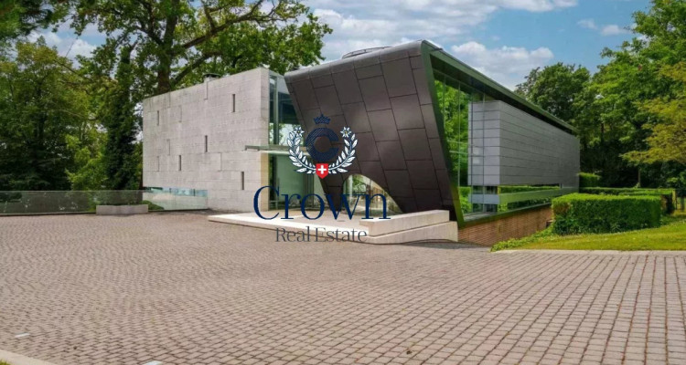 Outstanding image 11