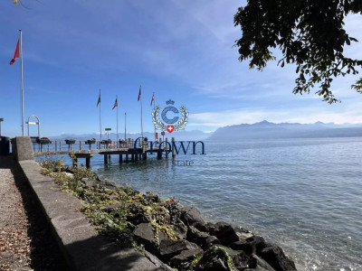 On the front line of the lake image 7