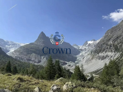 Back to basics, high in the mountain pastures image 3