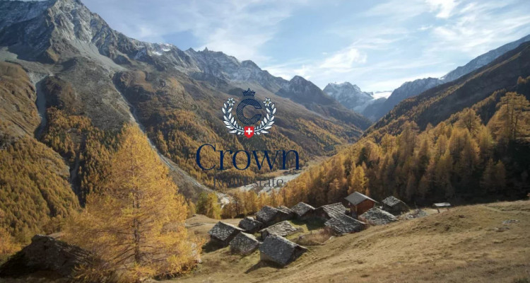 Back to basics, high in the mountain pastures image 2