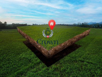 Your future starts here image 1