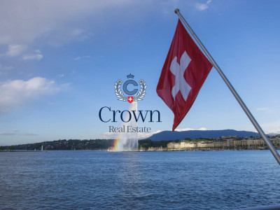 The essence of privilege image 1