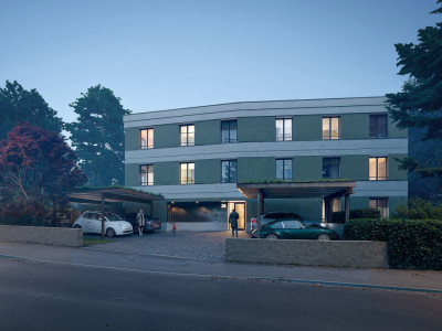 Contemporary apartment with its pleasant private garden 10 minto Geneva Center image 6