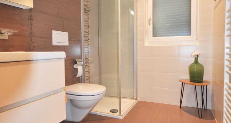 APPARTEMENT 4.5 PIÈCES AVEC BALCON image 6