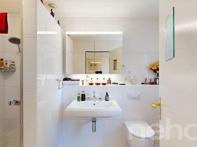 Wohnen mit Weitblick am Sihlsee ? Ruhe, Licht und Panorama vereint image 11