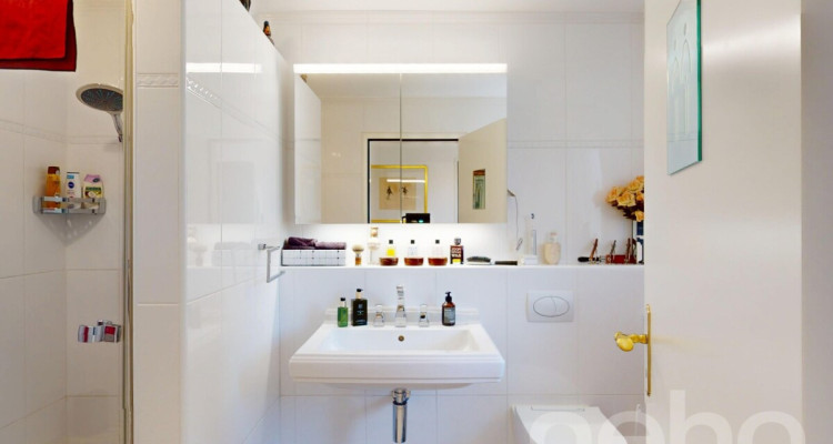 Wohnen mit Weitblick am Sihlsee ? Ruhe, Licht und Panorama vereint image 11