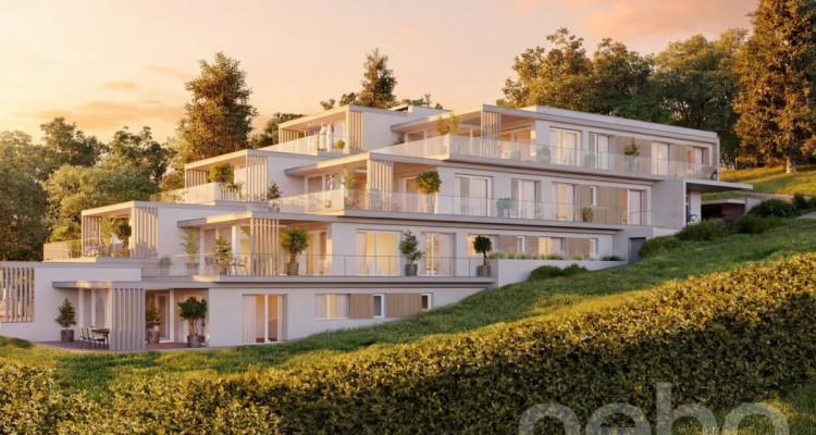 Splendide 4.5 pièces haut de gamme avec terrasse spacieuse et ambiance image 8