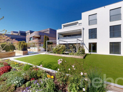 Ihr privates Paradies am Zürichsee - mit separatem Studio image 1