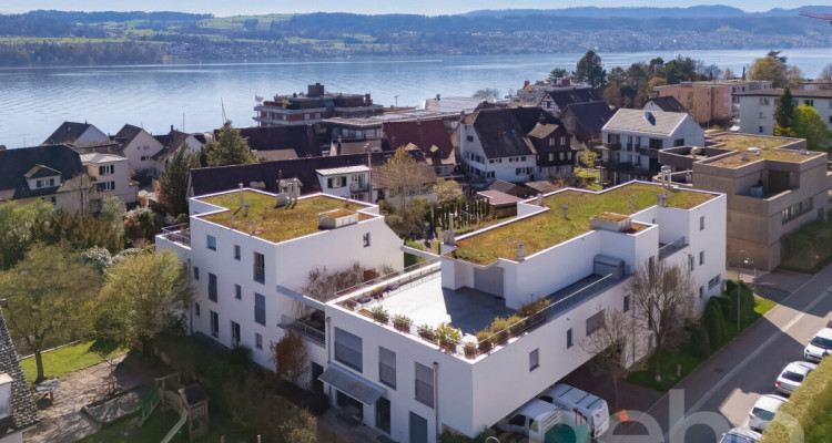 Ihr privates Paradies am Zürichsee - mit separatem Studio image 2