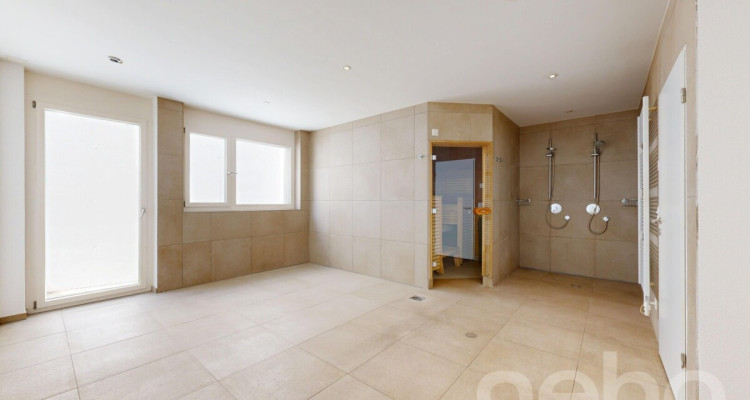 Ihr privates Paradies am Zürichsee - mit separatem Studio image 9