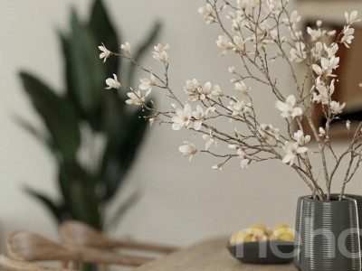 Maison individuelle neuve vue sur les Alpes  et logement indépendant image 4