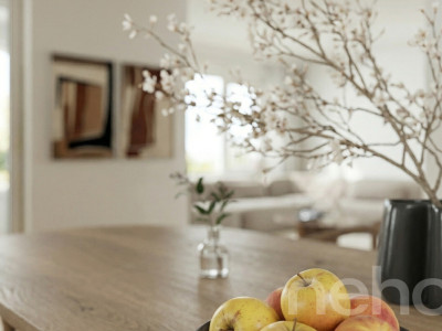 Maison individuelle neuve vue sur les Alpes  et logement indépendant image 5