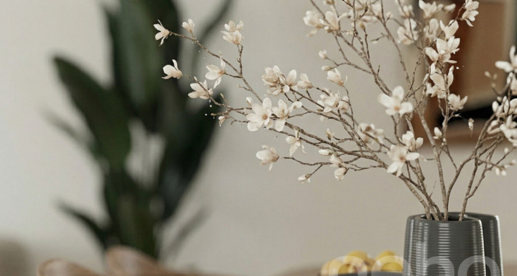 Maison individuelle neuve vue sur les Alpes  et logement indépendant image 4