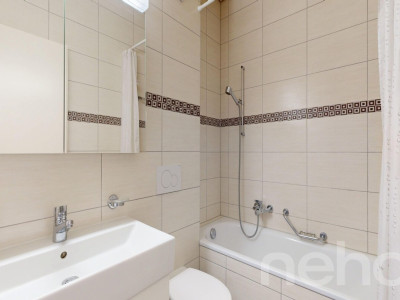 Grand appartement de 4,5pces avec vue imprenable à Gollion image 12