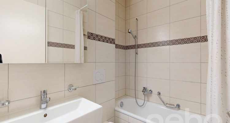 Grand appartement de 4,5pces avec vue imprenable à Gollion image 12