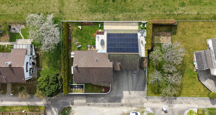 Somptueuse Villa avec Vue Forêt : Luminosité, Confort et Tranquilité image 4